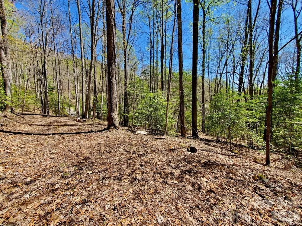 Lot 9 Hemlock Falls Drive #9 Sylva, NC 28779
