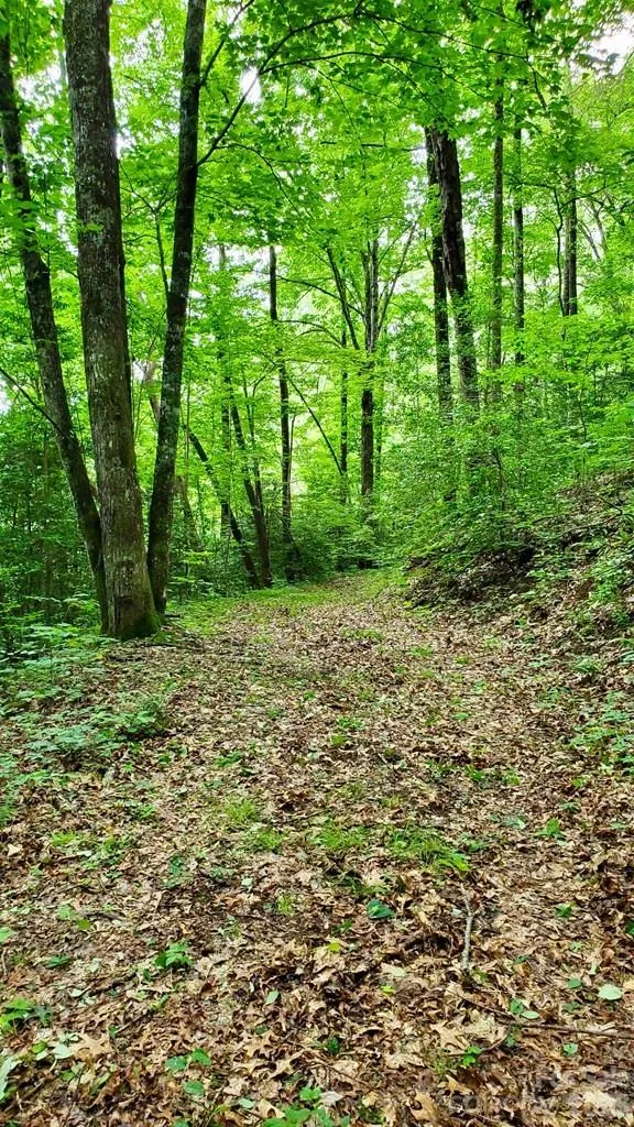 Lot 9 Hemlock Falls Drive #9 Sylva, NC 28779