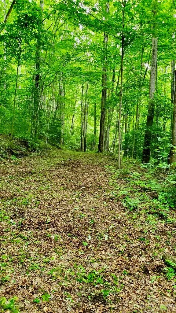 Lot 9 Hemlock Falls Drive #9 Sylva, NC 28779