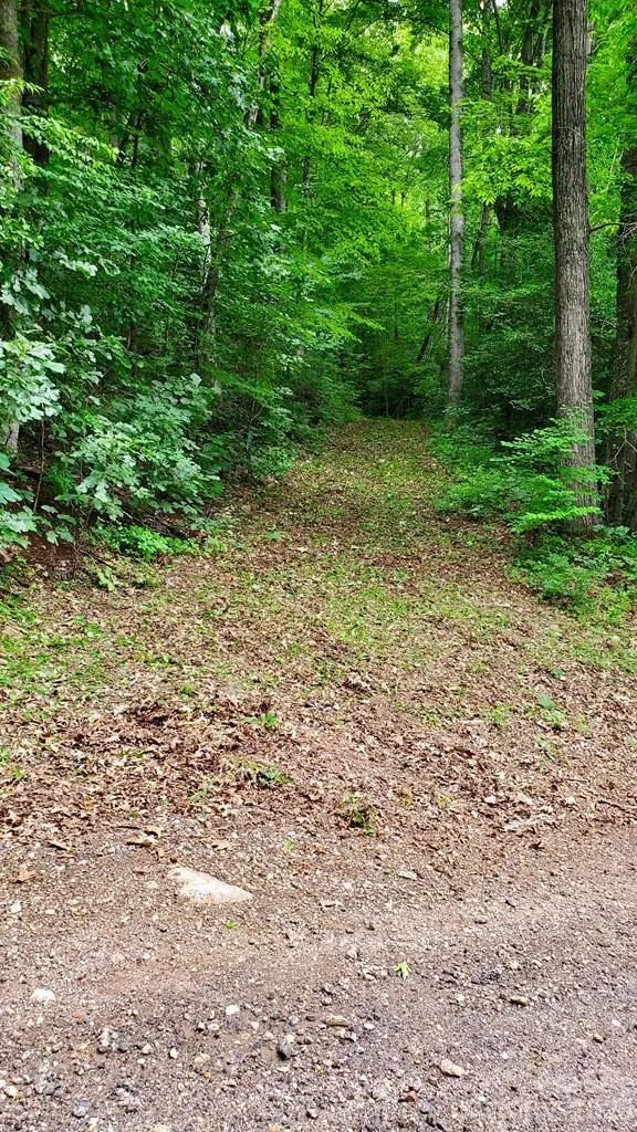 Lot 9 Hemlock Falls Drive #9 Sylva, NC 28779