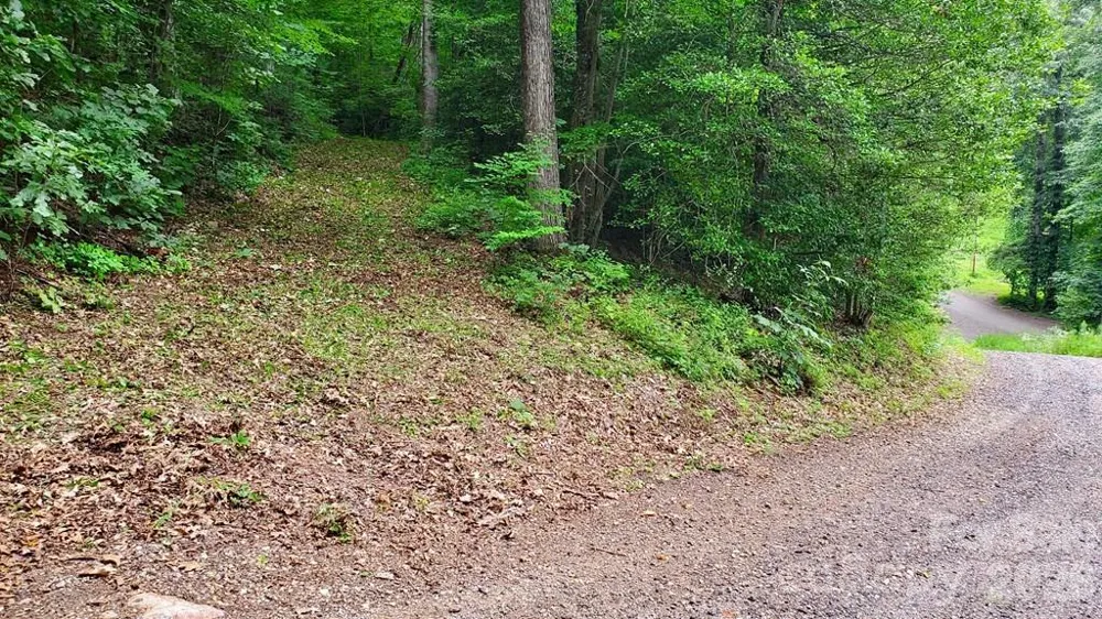 Lot 9 Hemlock Falls Drive #9 Sylva, NC 28779