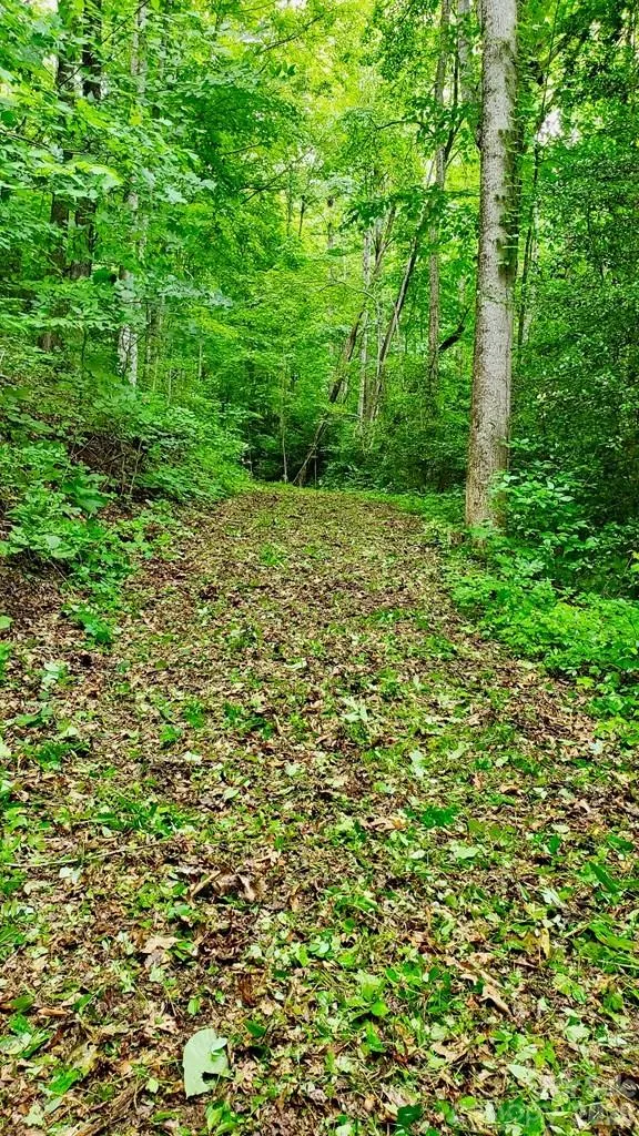 Lot 9 Hemlock Falls Drive #9 Sylva, NC 28779