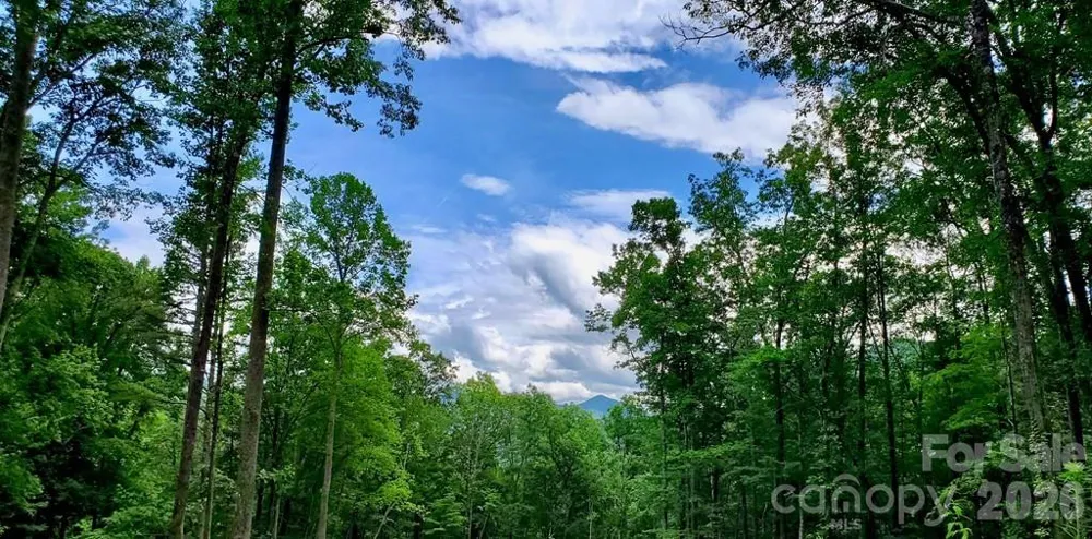 Lot 9 Hemlock Falls Drive #9 Sylva, NC 28779