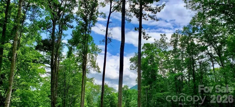 Lot 9 Hemlock Falls Drive #9 Sylva, NC 28779