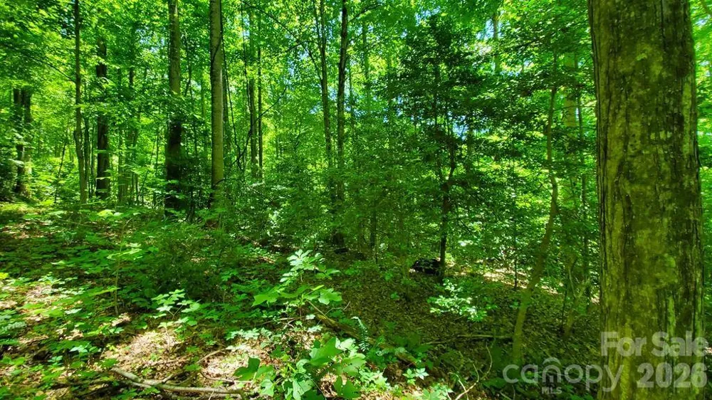 Lot 9 Hemlock Falls Drive #9 Sylva, NC 28779