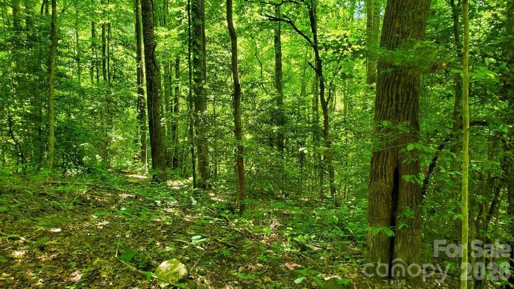 Lot 9 Hemlock Falls Drive #9 Sylva, NC 28779