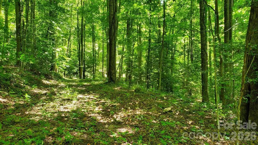 Lot 9 Hemlock Falls Drive #9 Sylva, NC 28779
