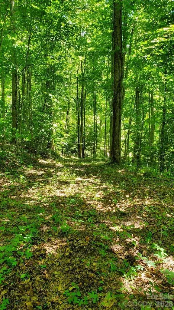 Lot 9 Hemlock Falls Drive #9 Sylva, NC 28779
