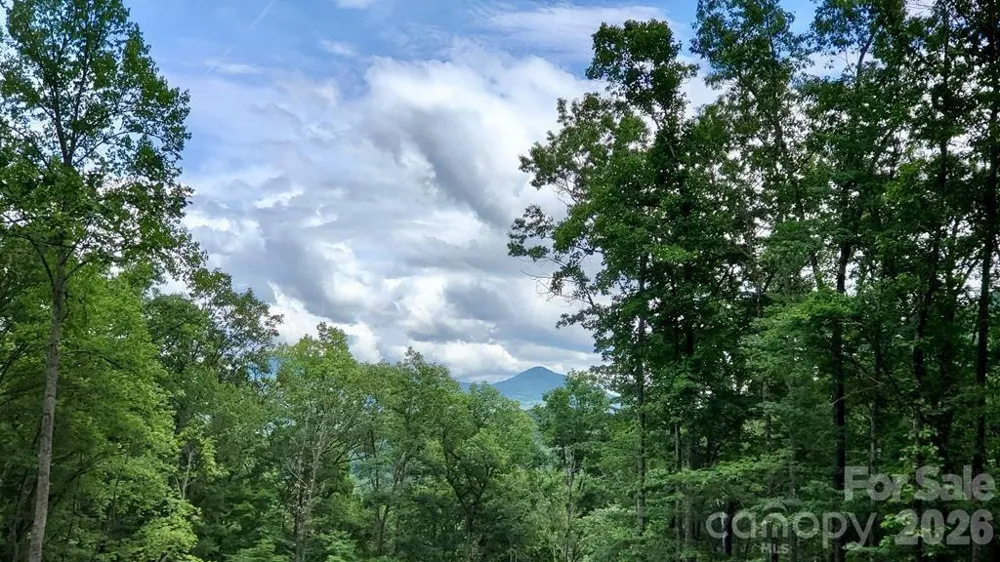 Lot 9 Hemlock Falls Drive #9 Sylva, NC 28779