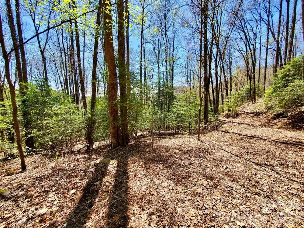 Lot 9 Hemlock Falls Drive #9 Sylva, NC 28779