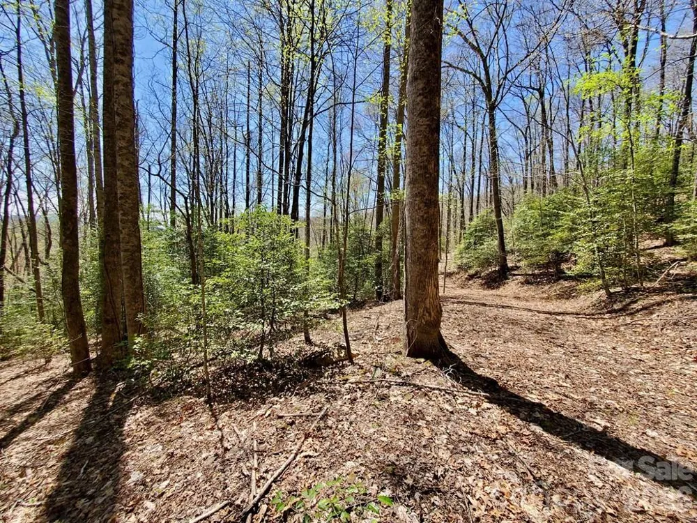 Lot 9 Hemlock Falls Drive #9 Sylva, NC 28779