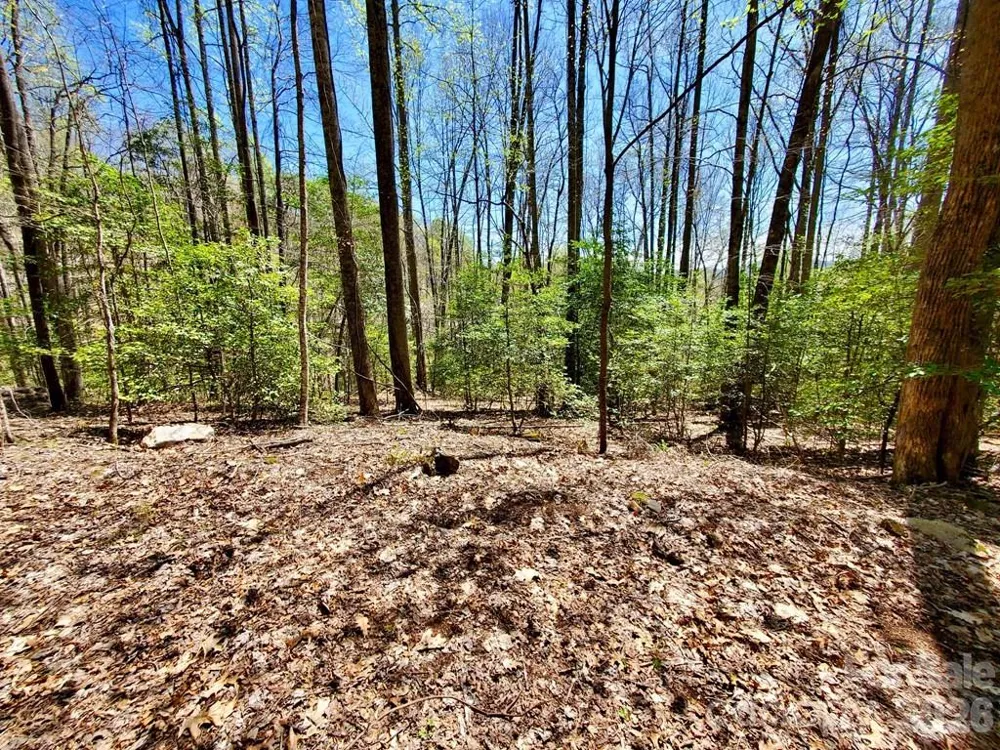 Lot 9 Hemlock Falls Drive #9 Sylva, NC 28779