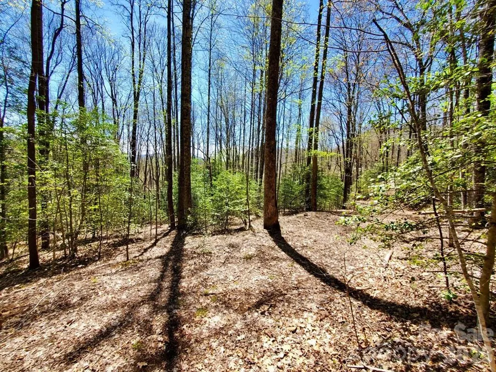Lot 9 Hemlock Falls Drive #9 Sylva, NC 28779