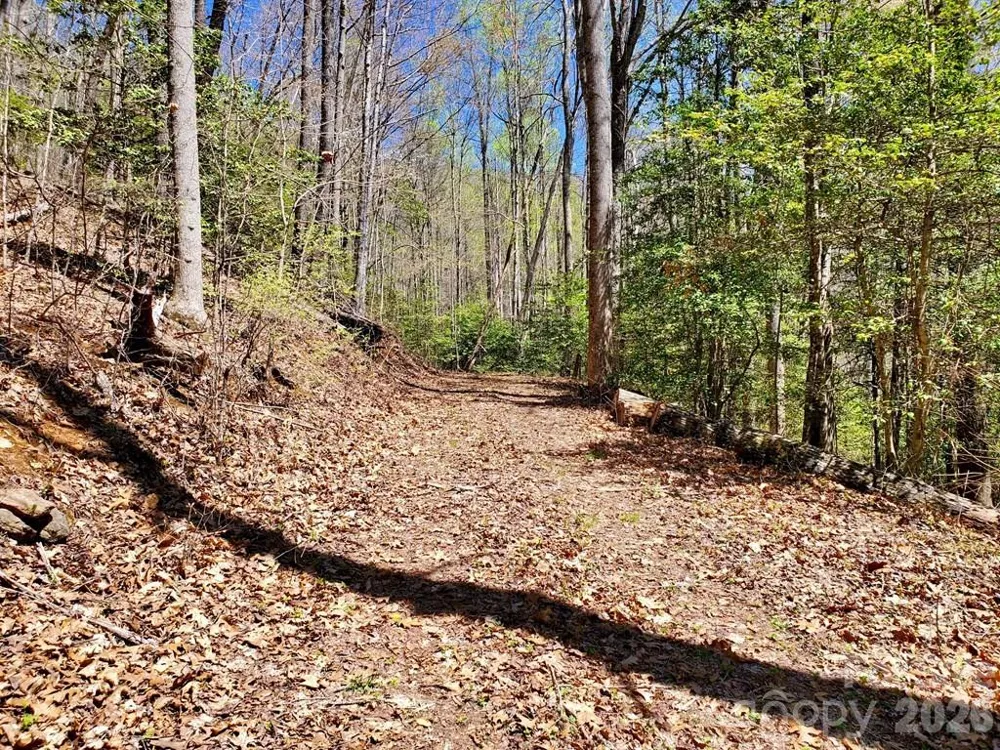 Lot 9 Hemlock Falls Drive #9 Sylva, NC 28779