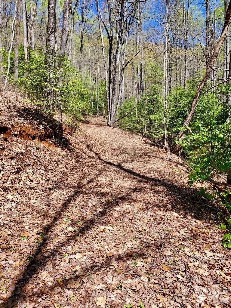 Lot 9 Hemlock Falls Drive #9 Sylva, NC 28779