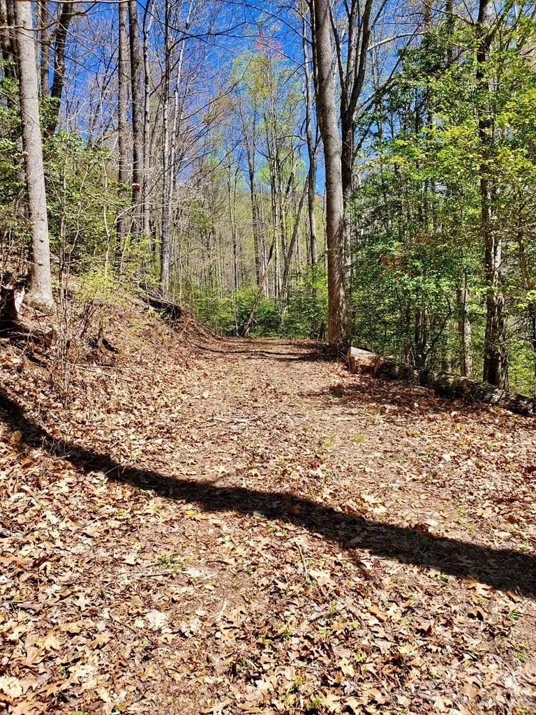 Lot 9 Hemlock Falls Drive #9 Sylva, NC 28779