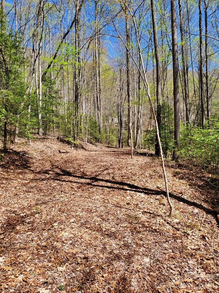 Lot 9 Hemlock Falls Drive #9 Sylva, NC 28779