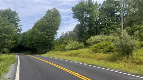 Horseshoe Lake Road