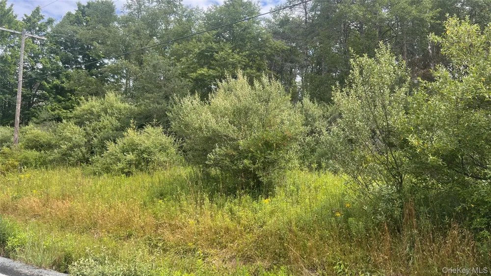 Horseshoe Lake Road Bethel, NY 12783