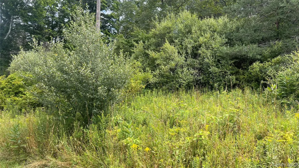 Horseshoe Lake Road Bethel, NY 12783