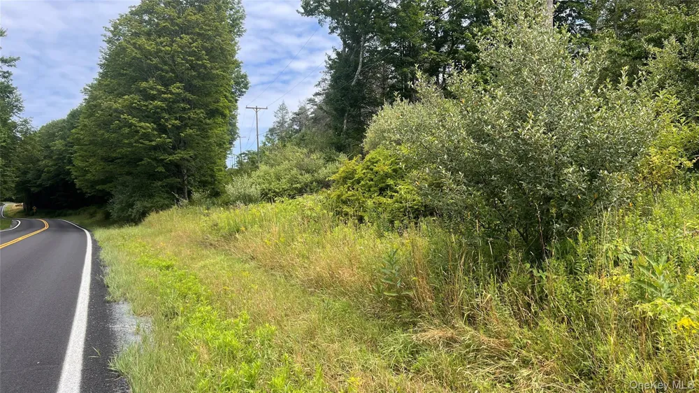 Horseshoe Lake Road Bethel, NY 12783