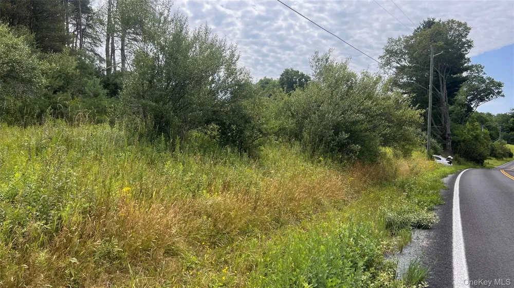 Horseshoe Lake Road Bethel, NY 12783