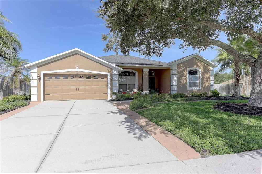 3815 RED BLUFF CT Land O Lakes, FL 34639