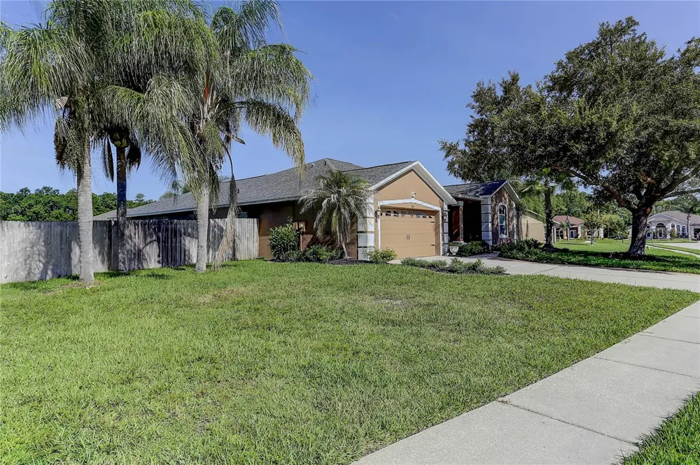 3815 RED BLUFF CT Land O Lakes, FL 34639