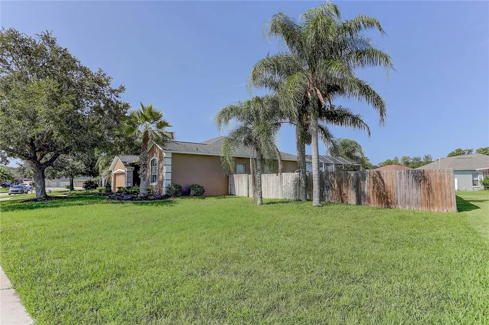 3815 RED BLUFF CT Land O Lakes, FL 34639