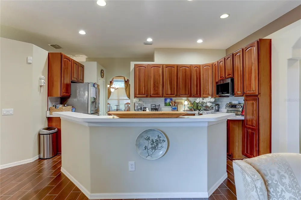 3815 RED BLUFF CT Land O Lakes, FL 34639