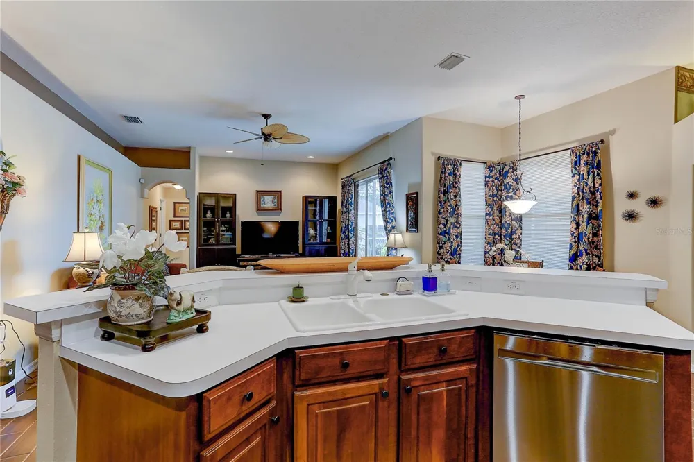 3815 RED BLUFF CT Land O Lakes, FL 34639
