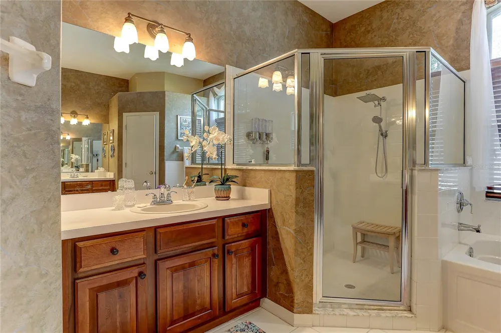 3815 RED BLUFF CT Land O Lakes, FL 34639