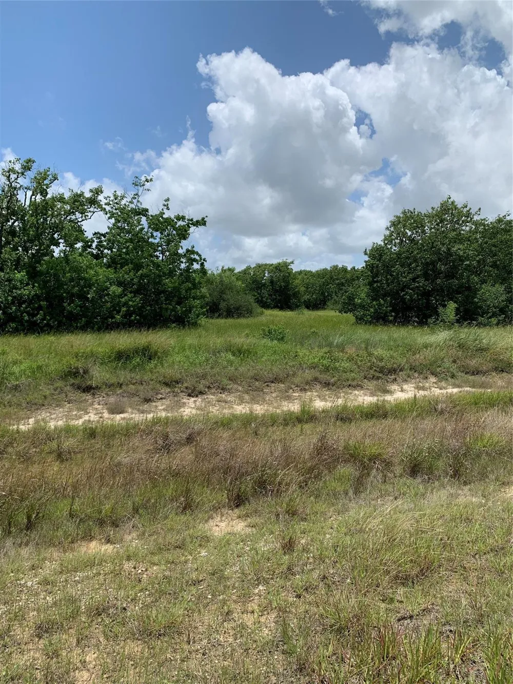 64 Falcon Way Palacios, TX 77465