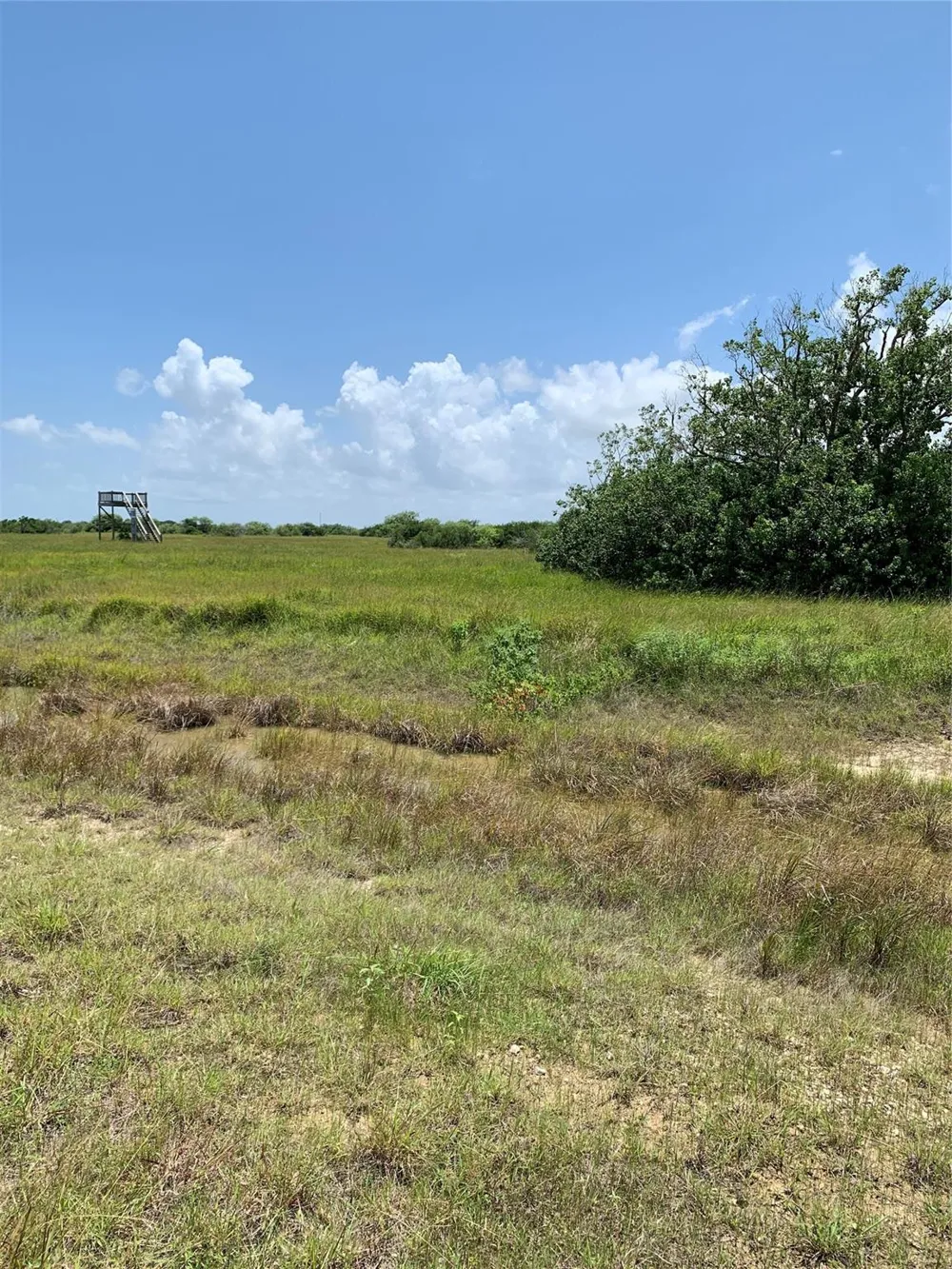64 Falcon Way Palacios, TX 77465