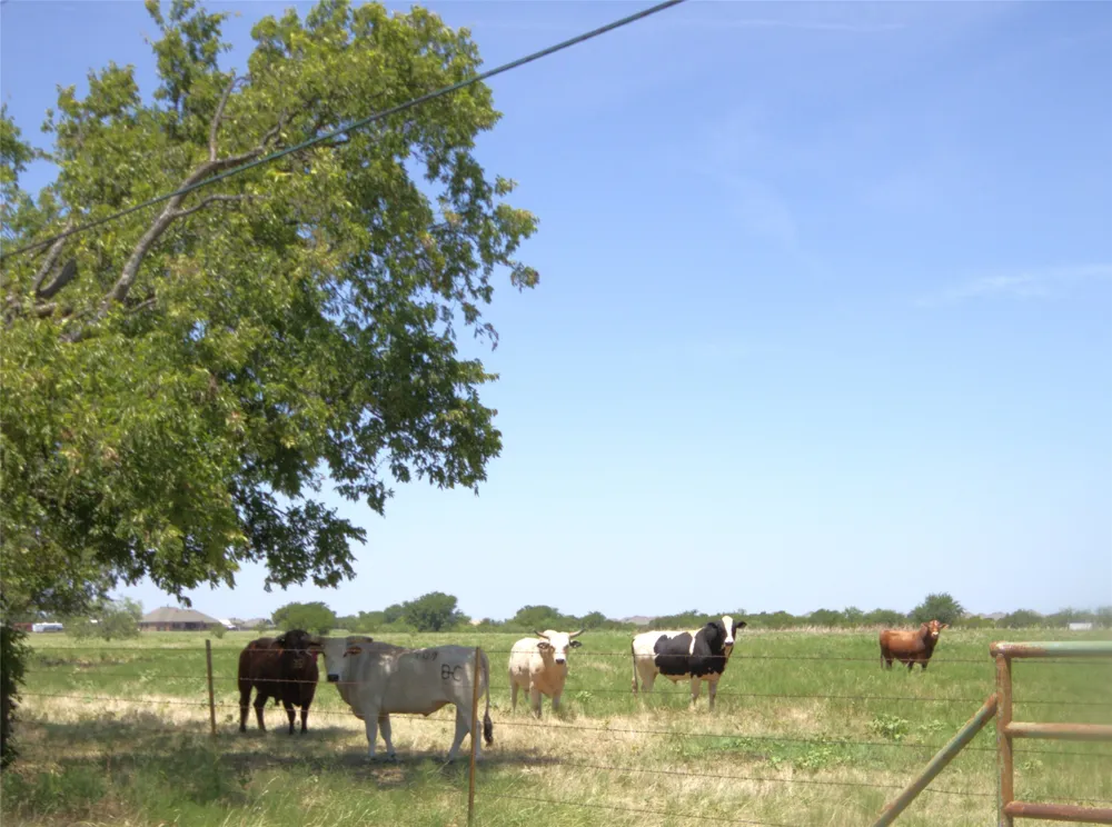 523 W 4th Street Justin, TX 76247