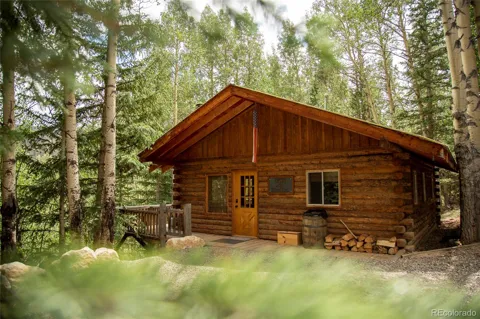 1001 CR 17 #Aspen Cabin
