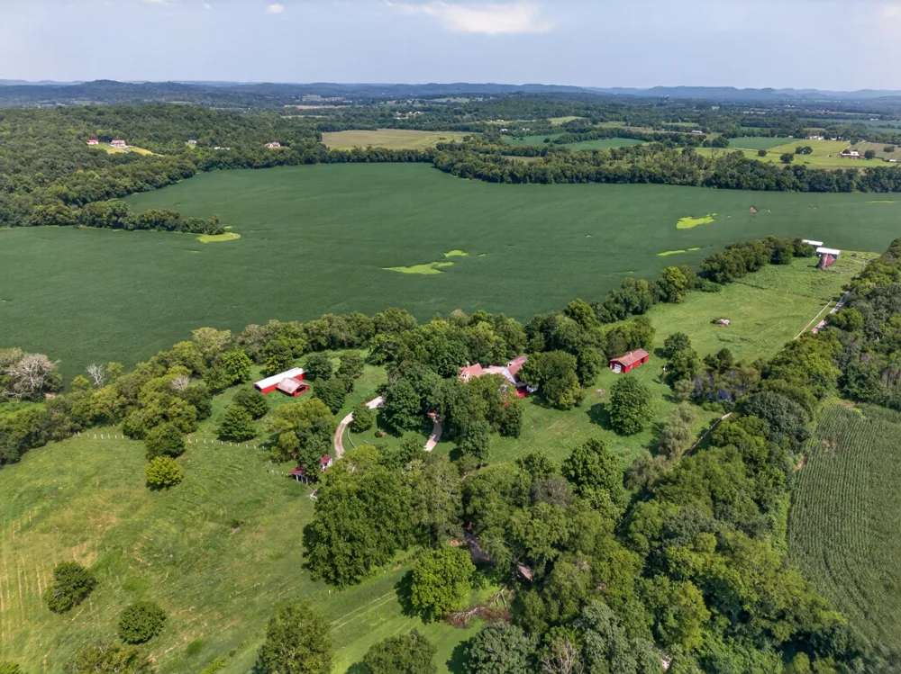 135 Clayton Ln Fayetteville, TN 37334