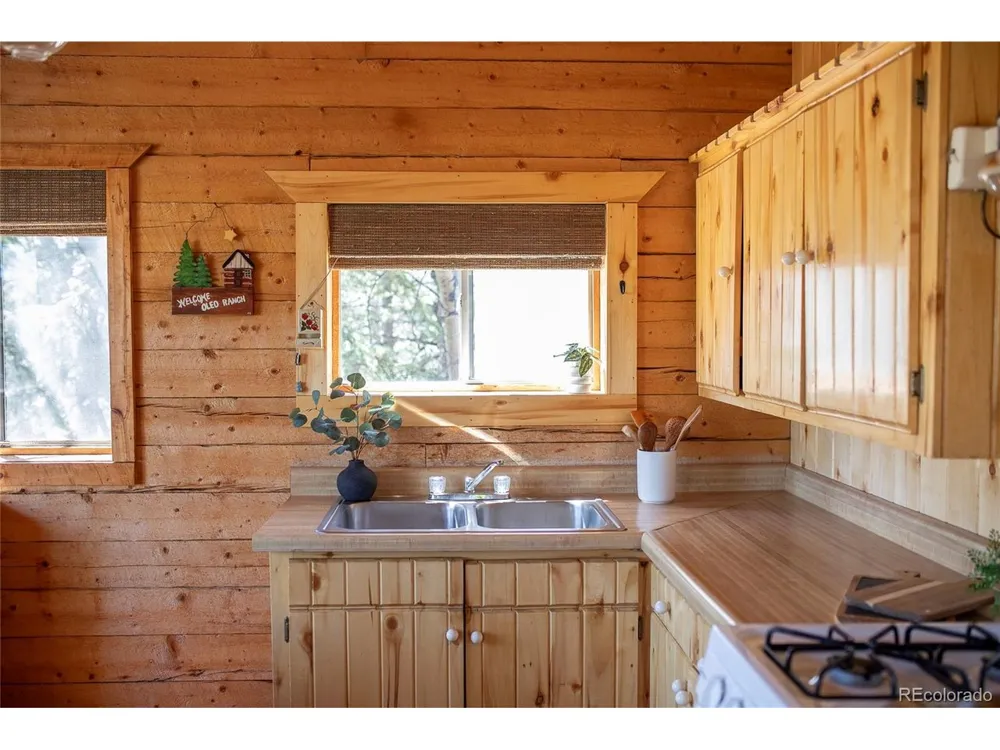 1001 CR 17 #Aspen Cabin Lake City, CO 81235