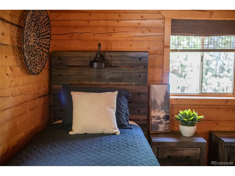 1001 CR 17 #Aspen Cabin Lake City, CO 81235