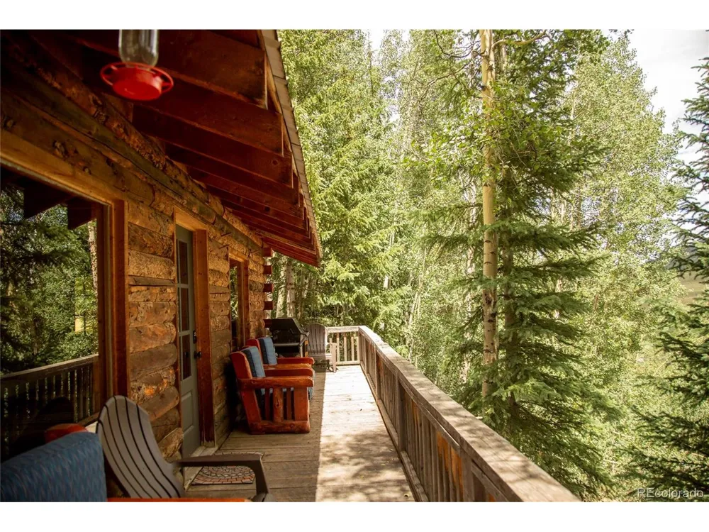 1001 CR 17 #Aspen Cabin Lake City, CO 81235