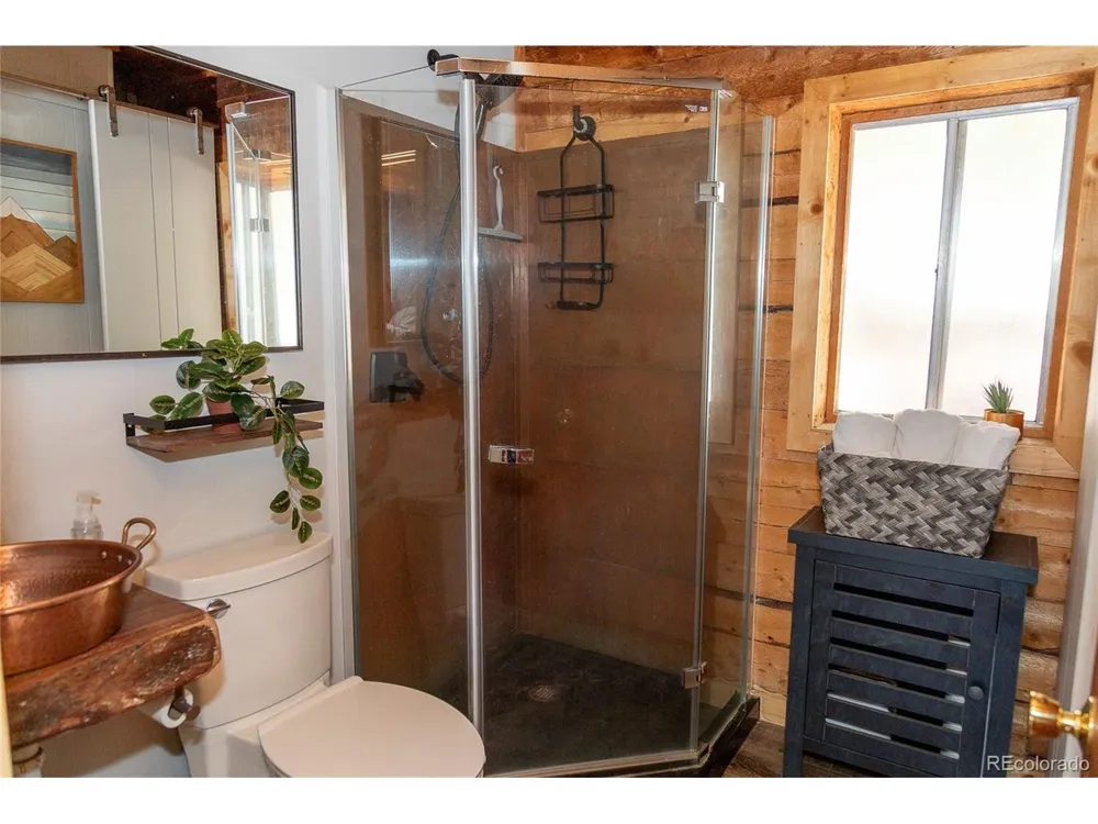 1001 CR 17 #Aspen Cabin Lake City, CO 81235