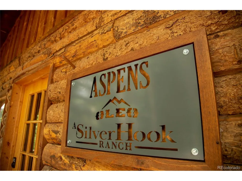 1001 CR 17 #Aspen Cabin Lake City, CO 81235