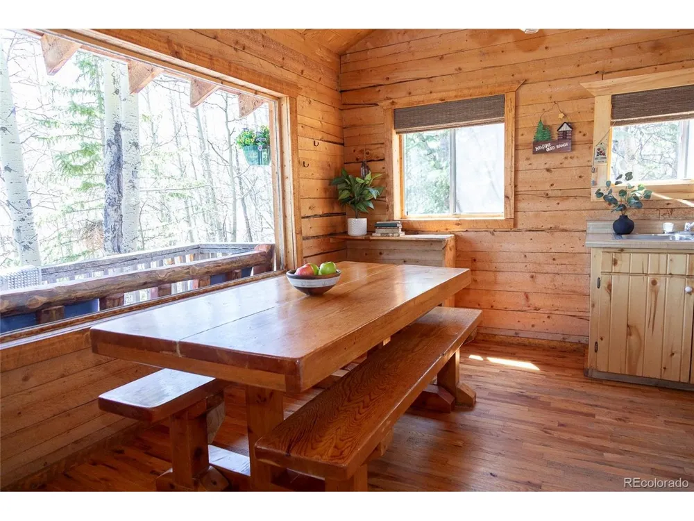 1001 CR 17 #Aspen Cabin Lake City, CO 81235