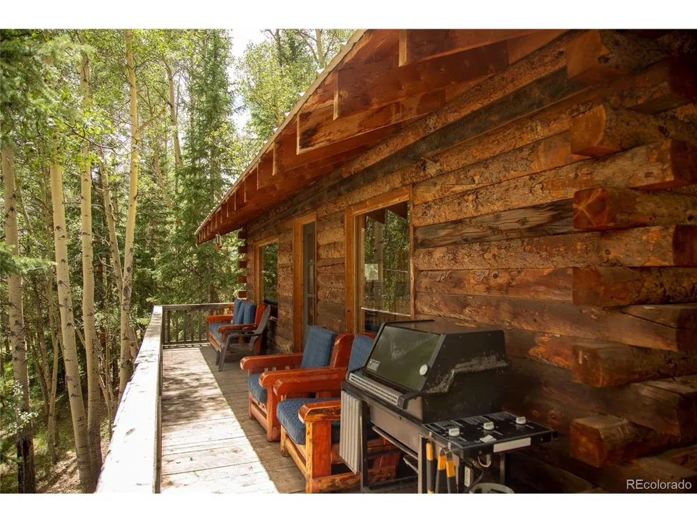 1001 CR 17 #Aspen Cabin Lake City, CO 81235