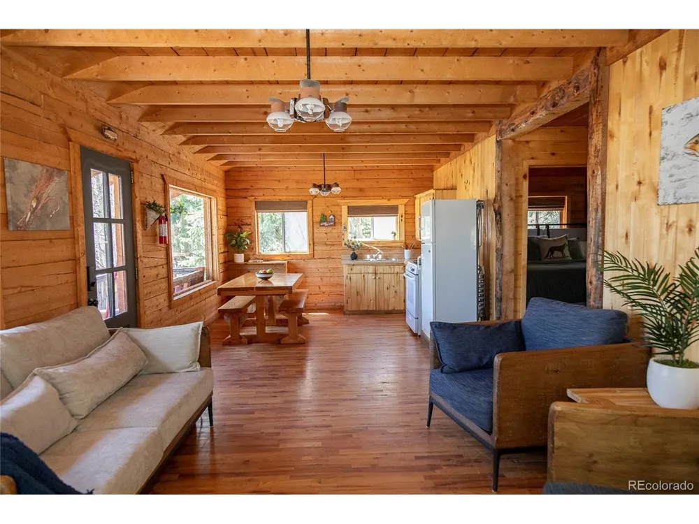 1001 CR 17 #Aspen Cabin Lake City, CO 81235