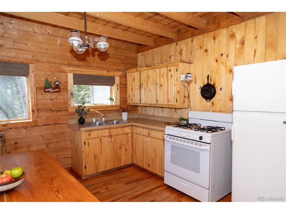 1001 CR 17 #Aspen Cabin Lake City, CO 81235