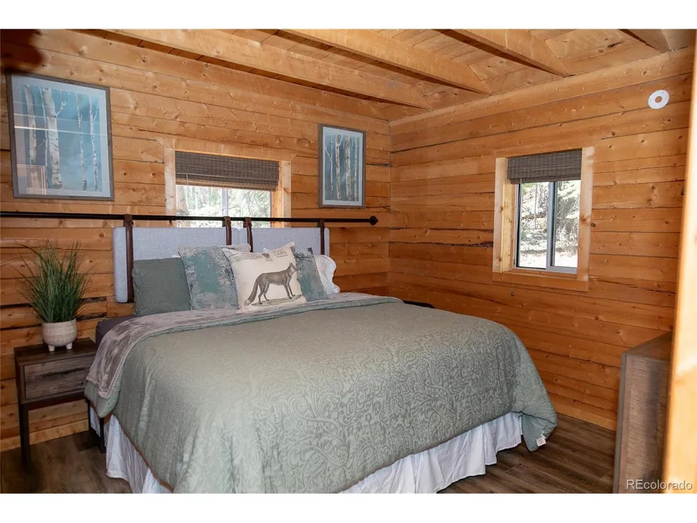 1001 CR 17 #Aspen Cabin Lake City, CO 81235