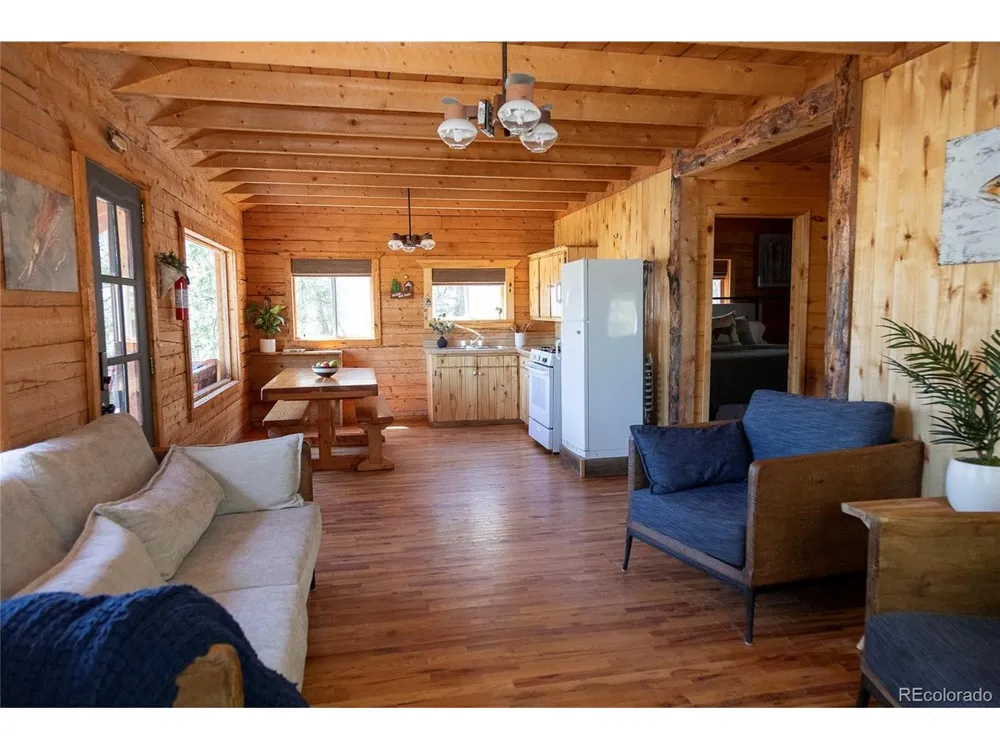 1001 CR 17 #Aspen Cabin Lake City, CO 81235