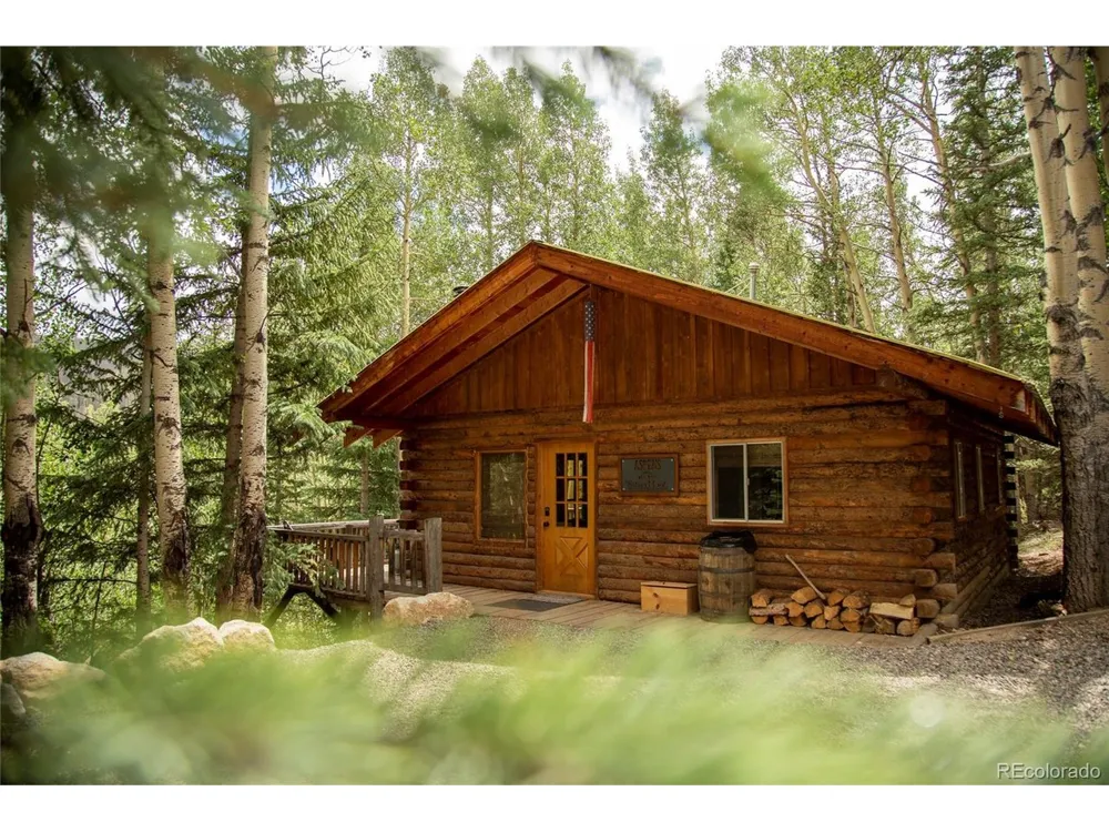 1001 CR 17 #Aspen Cabin Lake City, CO 81235