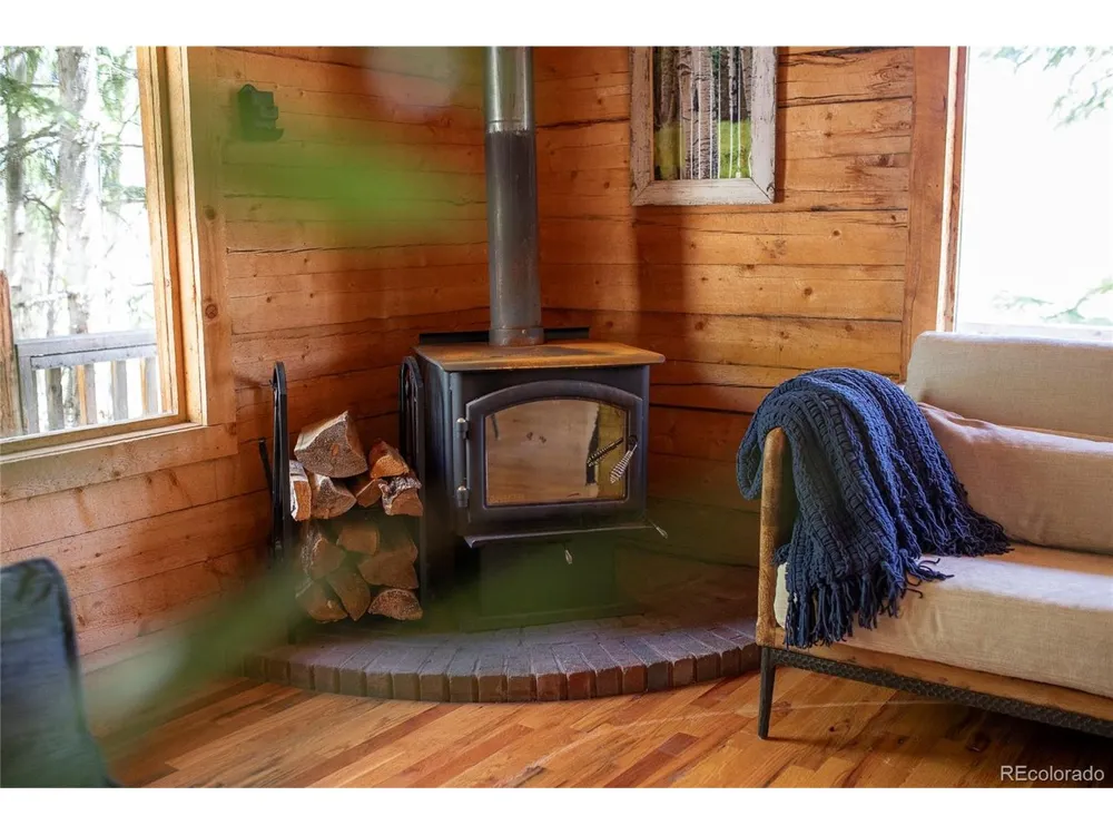 1001 CR 17 #Aspen Cabin Lake City, CO 81235